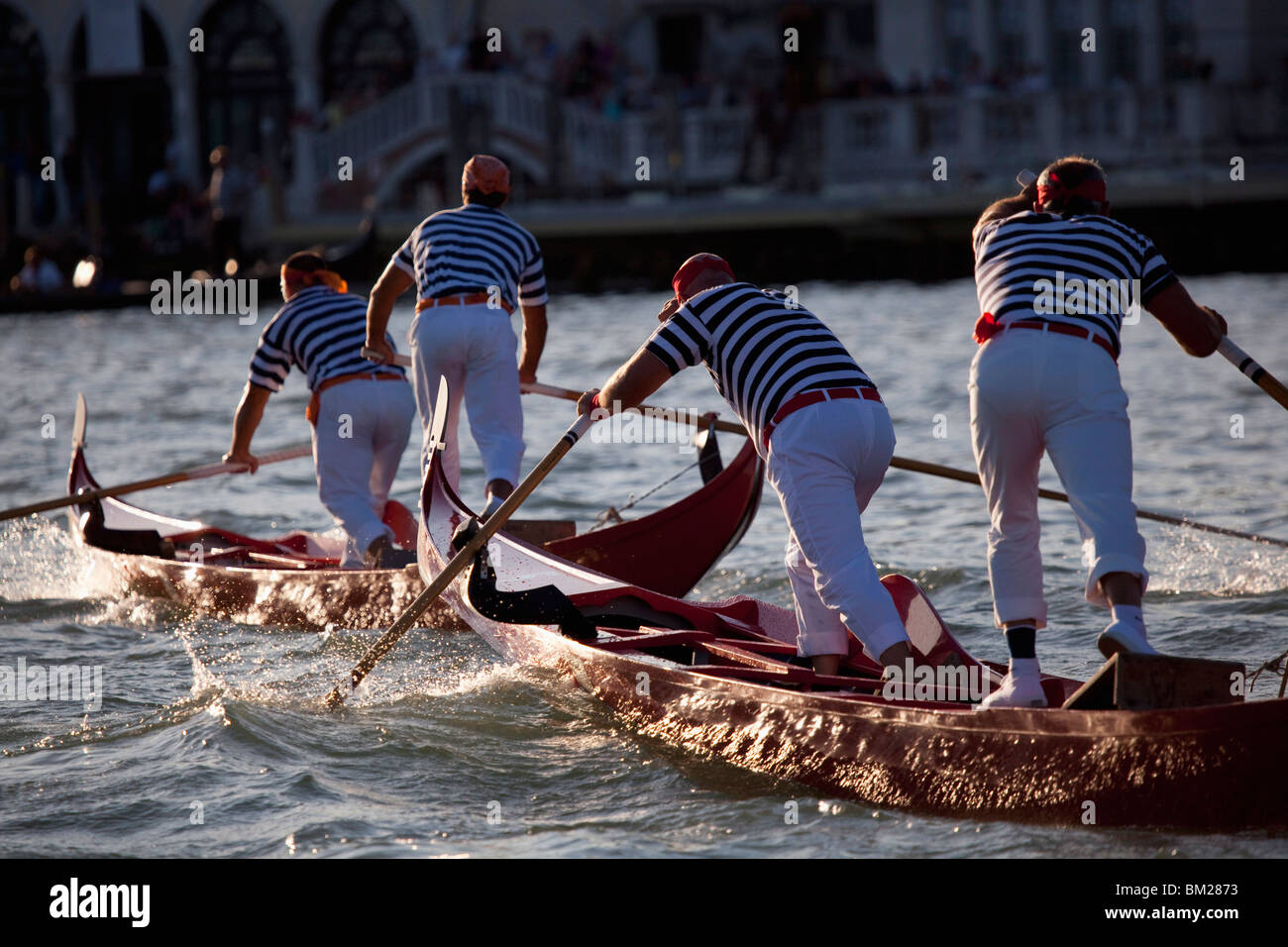 La régate des champions sur gondolini Regata Storica au cours de la 2009, Venise, Vénétie, Italie, Europe Banque D'Images