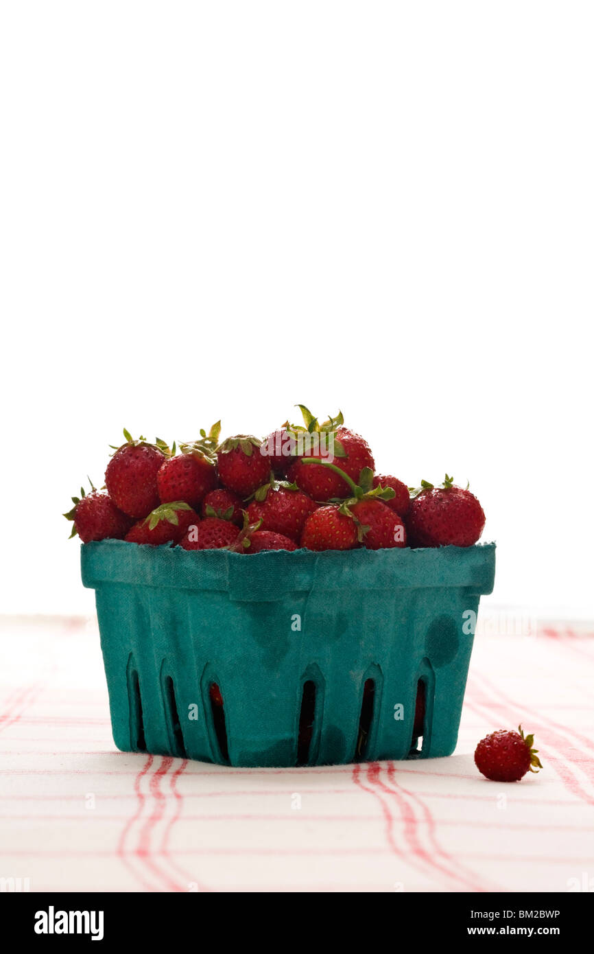 Les fraises au conteneur conseil Carte verte Banque D'Images