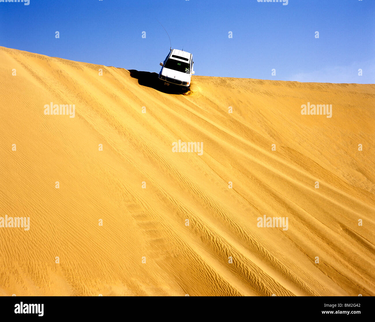 Safari dans le désert, au Qatar, au Moyen-Orient Banque D'Images