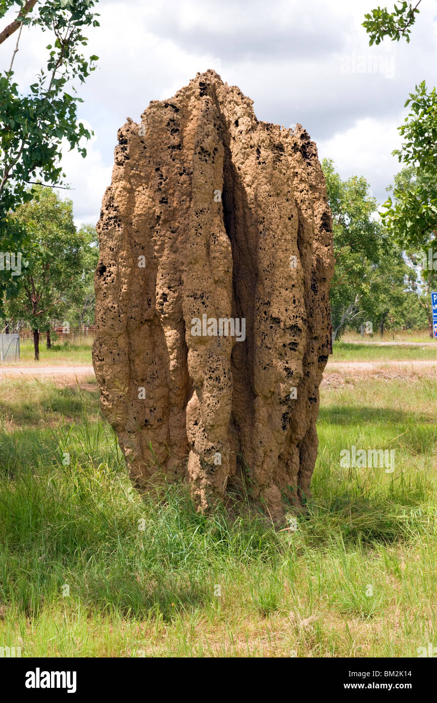 Une termitière près du Parc National de Kakadu dans les Territoires du Nord de l'Australie Banque D'Images