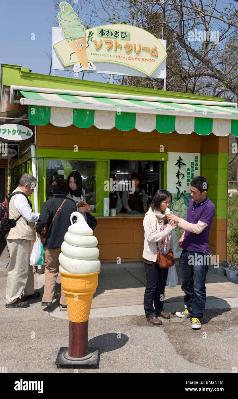 Les visiteurs appréciant le wasabi (raifort japonais) glace à la ferme de Wasabi Daio Hotaka, Nagano, Japon Banque D'Images