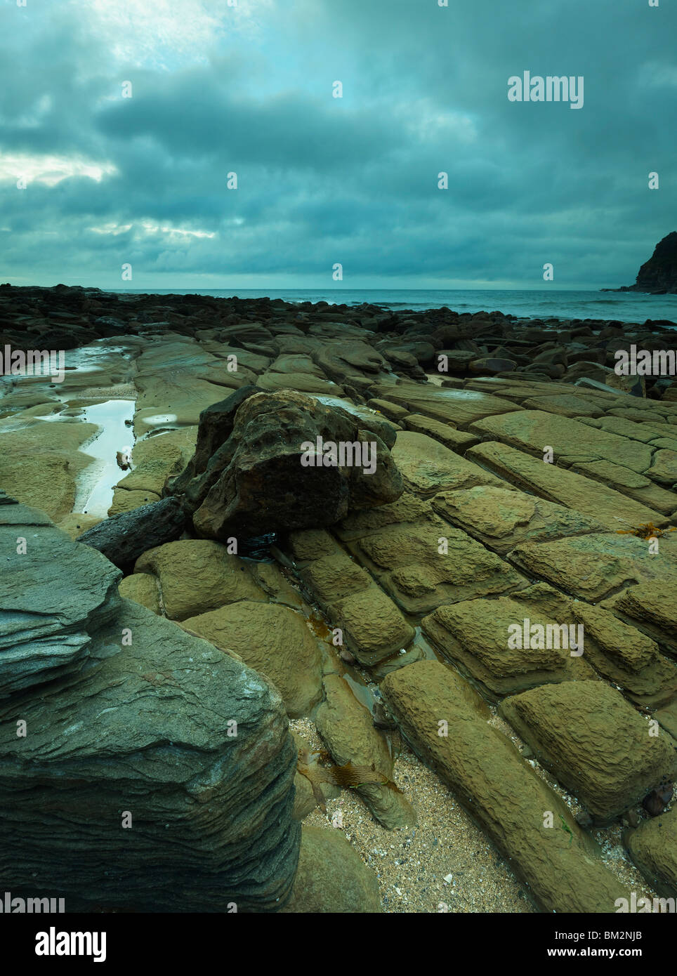 Marée basse rock détail Bouddi National Park, NSW Australie Banque D'Images