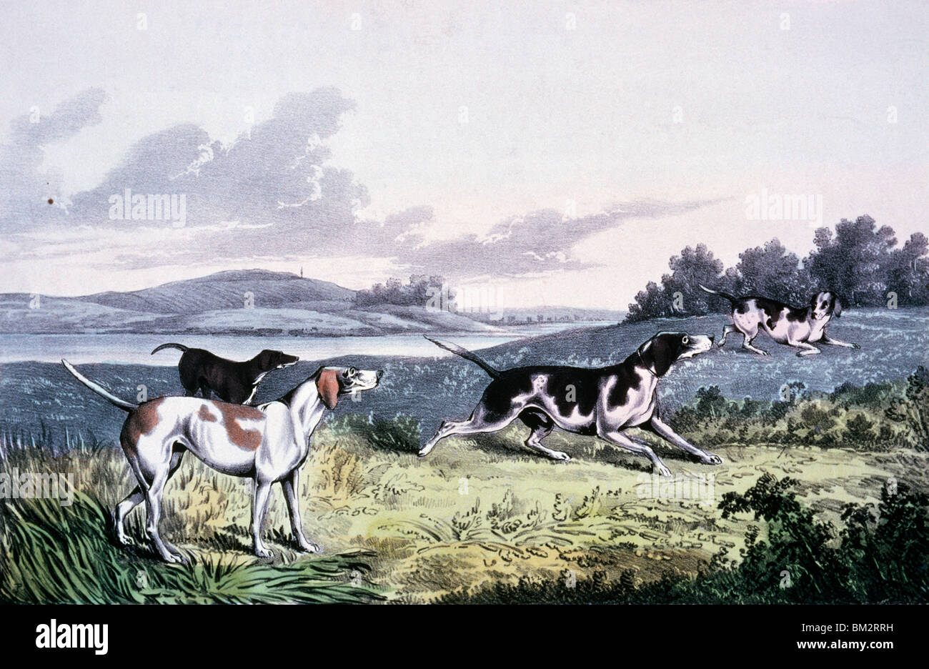 Pointeurs, Currier et Ives, lithographie couleur, (1857-1907), Washington, D.C., la Bibliothèque du Congrès Banque D'Images