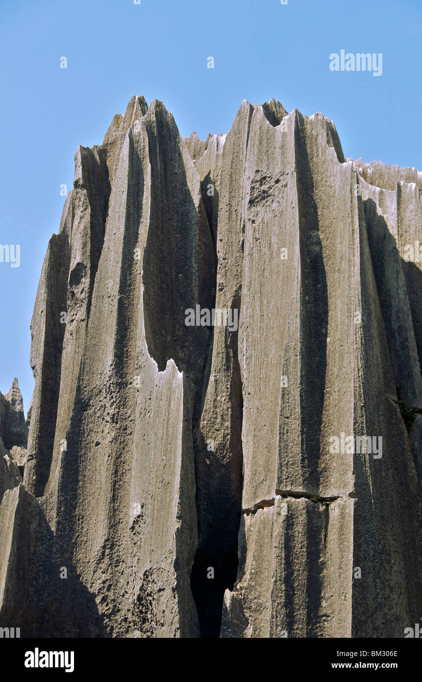 Rock formation forêt de pierre Chine Yunnan Banque D'Images