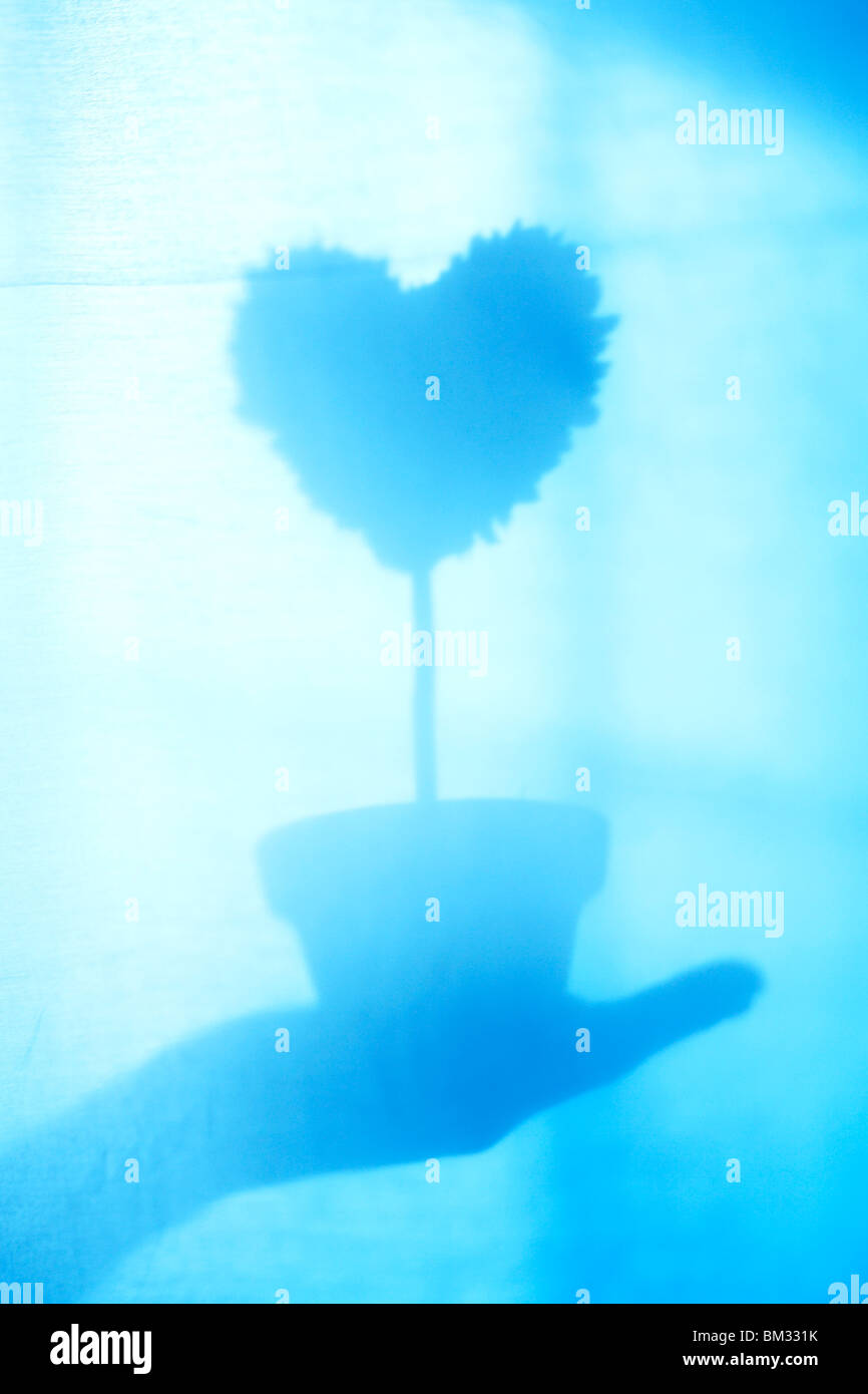 Silhouette of hand holding potted plant en forme de coeur, tonique libre Banque D'Images
