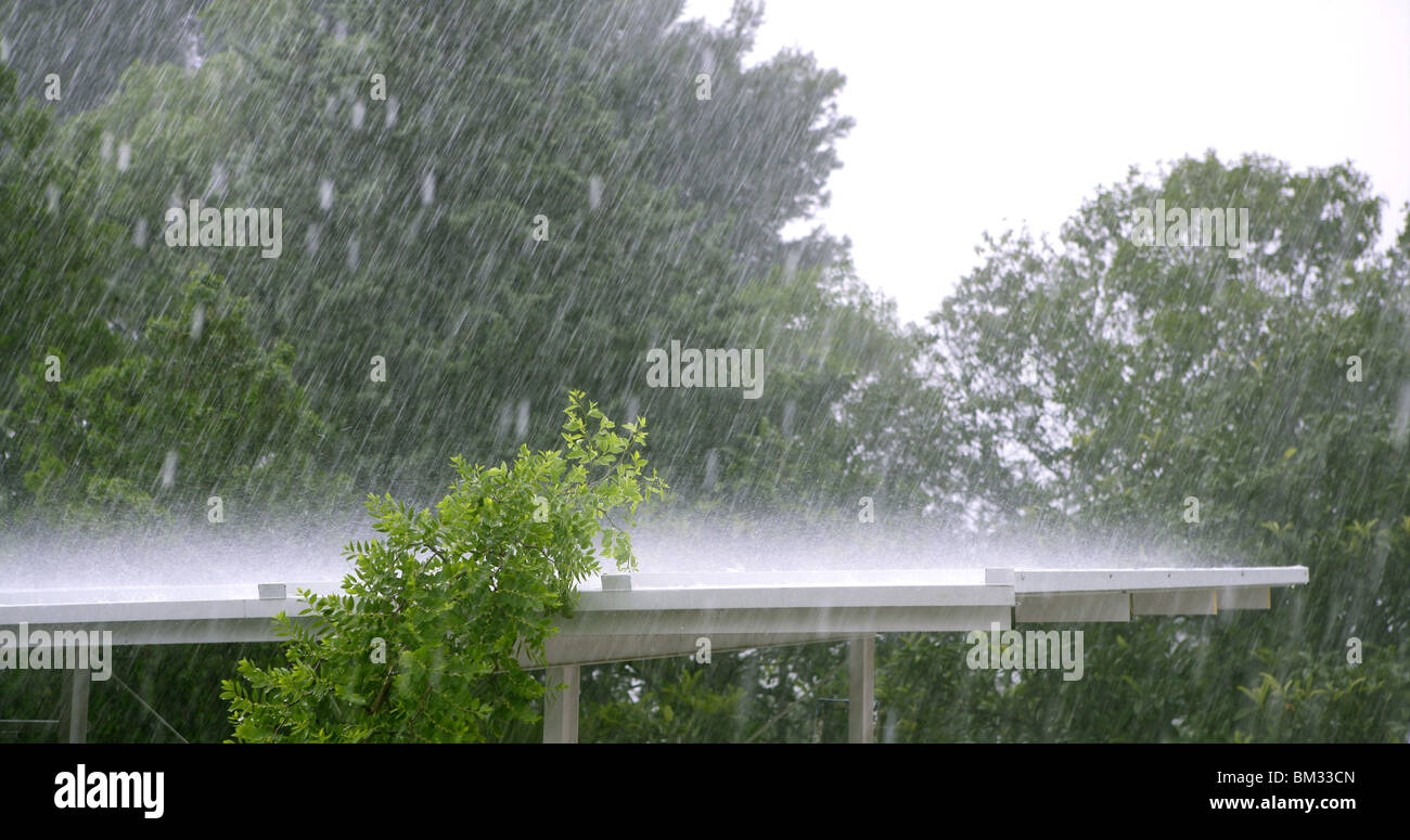 Pleuvoir sur un toit blanc dans un ouragan tempête, arbres en arrière-plan Banque D'Images