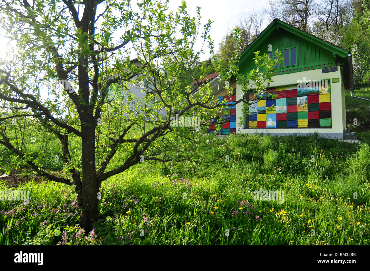 Les ruchers en Slovénie ont coloré des fronts de ruche Banque D'Images