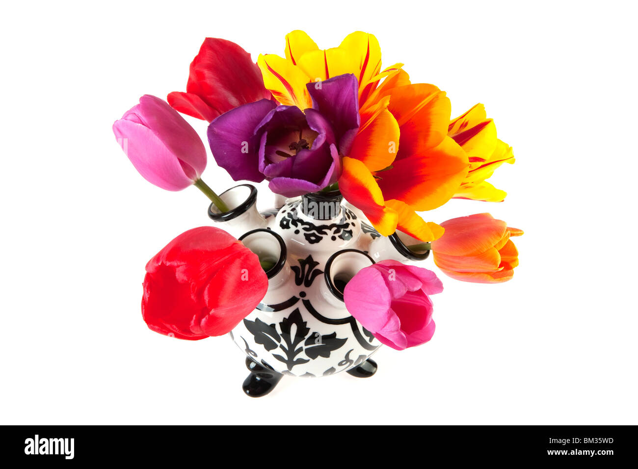 Black et White Tulip vase avec fleurs colorées Banque D'Images