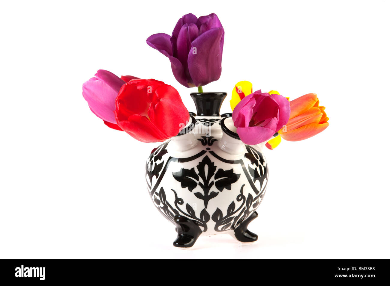 Black et White Tulip vase avec fleurs colorées Banque D'Images
