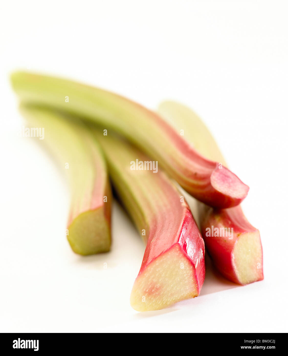 Rhubarbe Banque D'Images