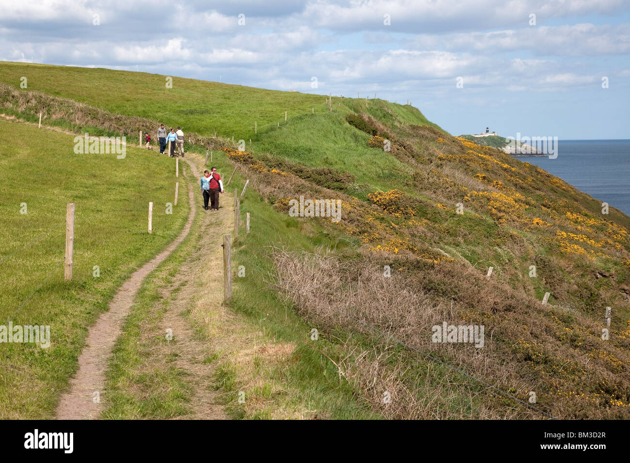 Balade en campagne irlandaise, Merville, Irlande Banque D'Images