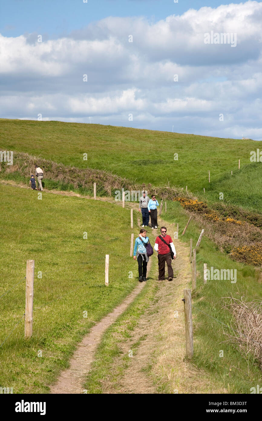 Balade en campagne irlandaise, Merville, Irlande Banque D'Images