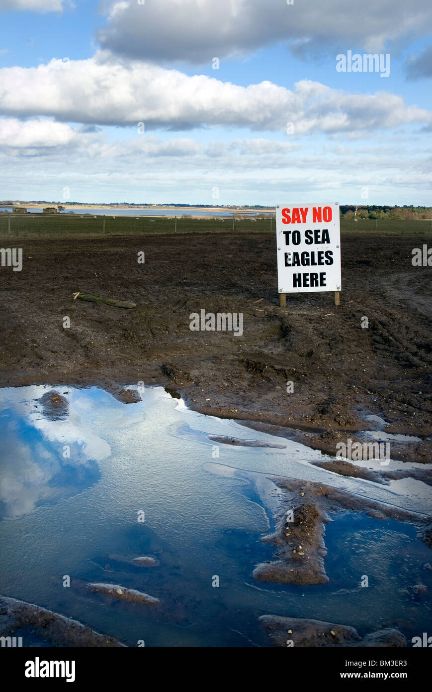 Dire non aux aigles de mer signe en Angleterre suffolk framlingham Banque D'Images
