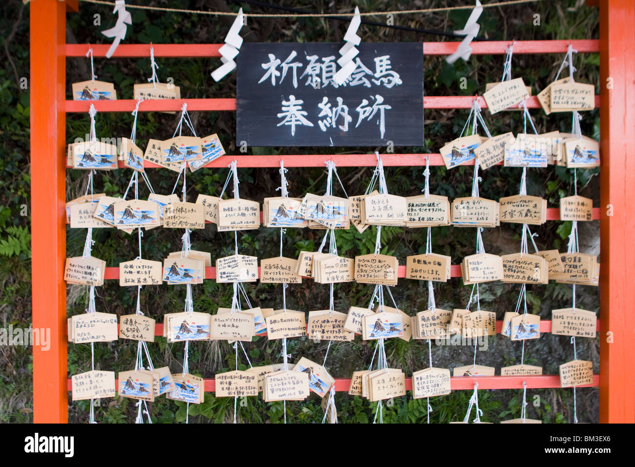 Omikuji messages à un Sanctuaire Shinto du Japon, de l'Asie. Banque D'Images