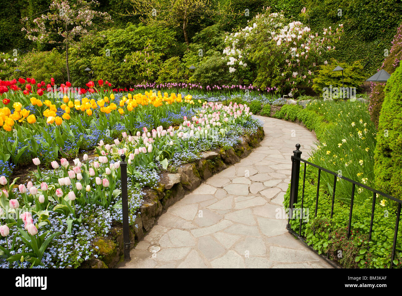 Sunken garden path au printemps dans les jardins Butchart-Victoria, Colombie-Britannique, Canada. Banque D'Images