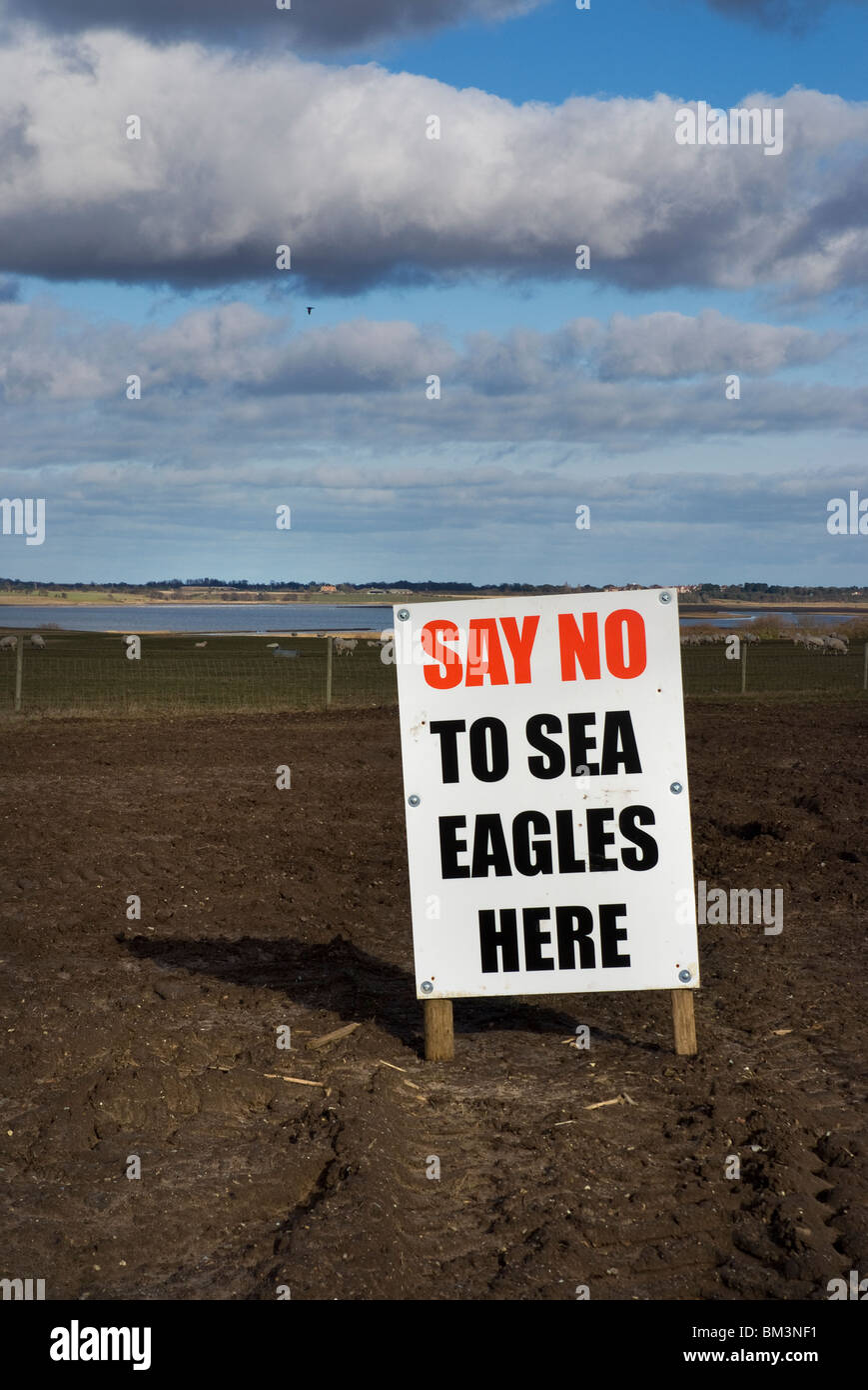 Dire non aux aigles de mer signe en Angleterre suffolk framlingham Banque D'Images