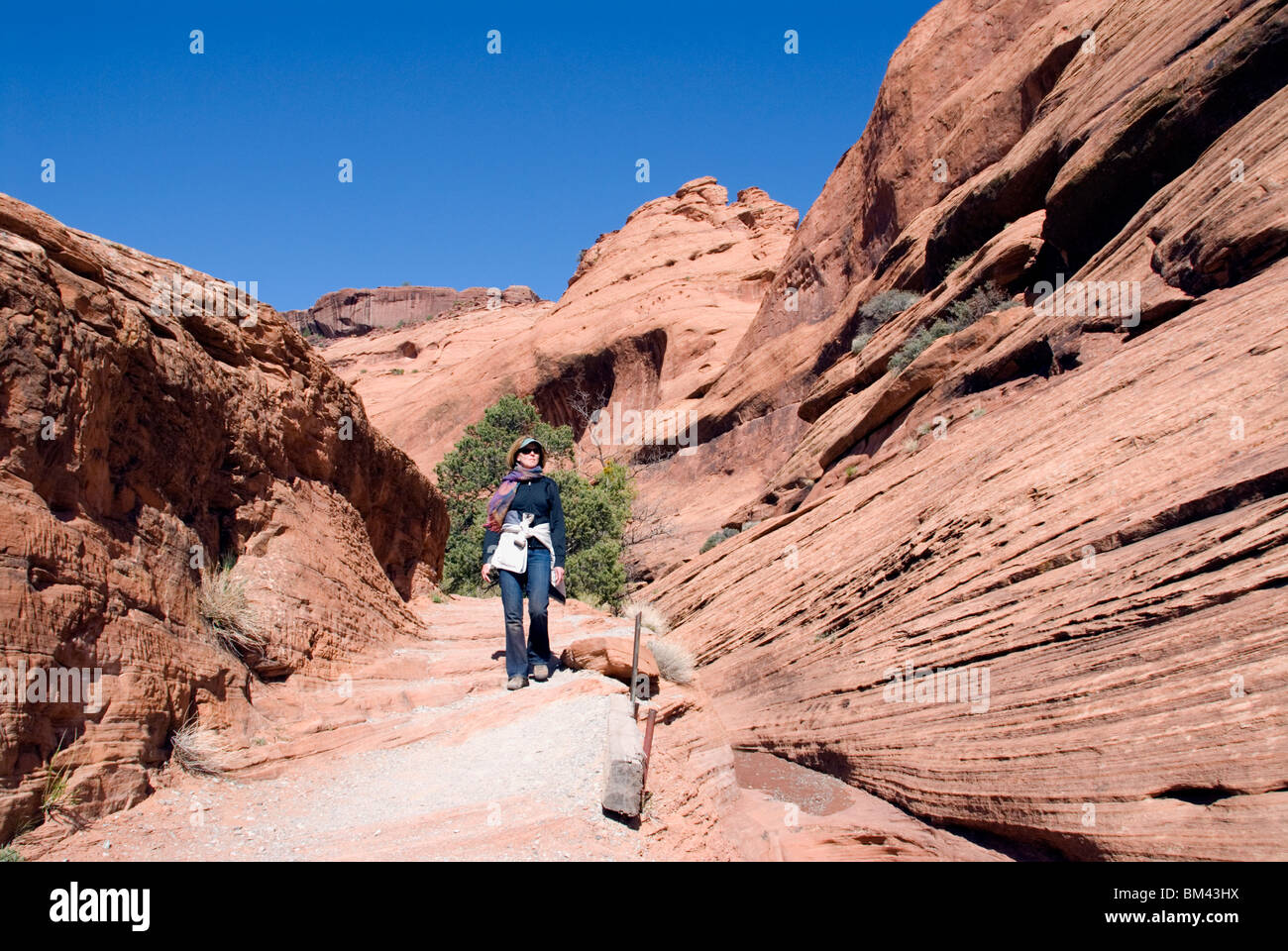 Femme sur l'auto-visite des sentiers de Canyon de Chelly National Monument Nation Navajo en Arizona, USA Kimberly Paumier M. Banque D'Images