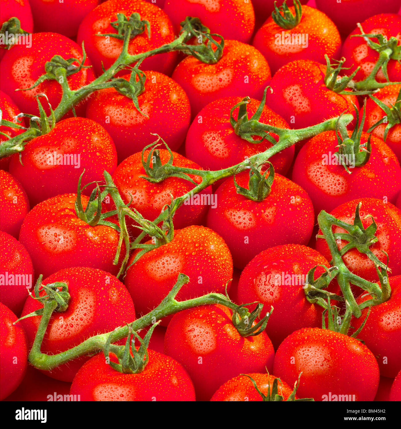 Les tomates Banque D'Images