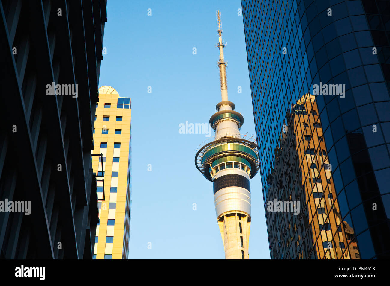 Afficher par ville tours à la Sky Tower. Auckland, île du Nord, Nouvelle-Zélande Banque D'Images