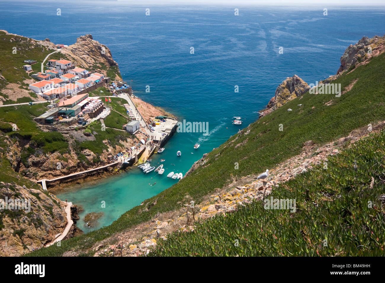 En été, la réserve naturelle des Berlengas (Berlenga Grande - Leiria - Portugal). Réserve Naturelle des Berlengas en été (Portugal) Banque D'Images