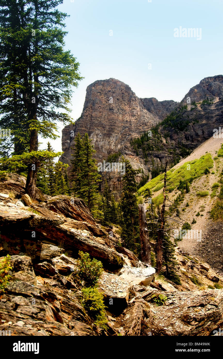 Chemin de randonnée de montagne dans les Rocheuses canadiennes Banque D'Images