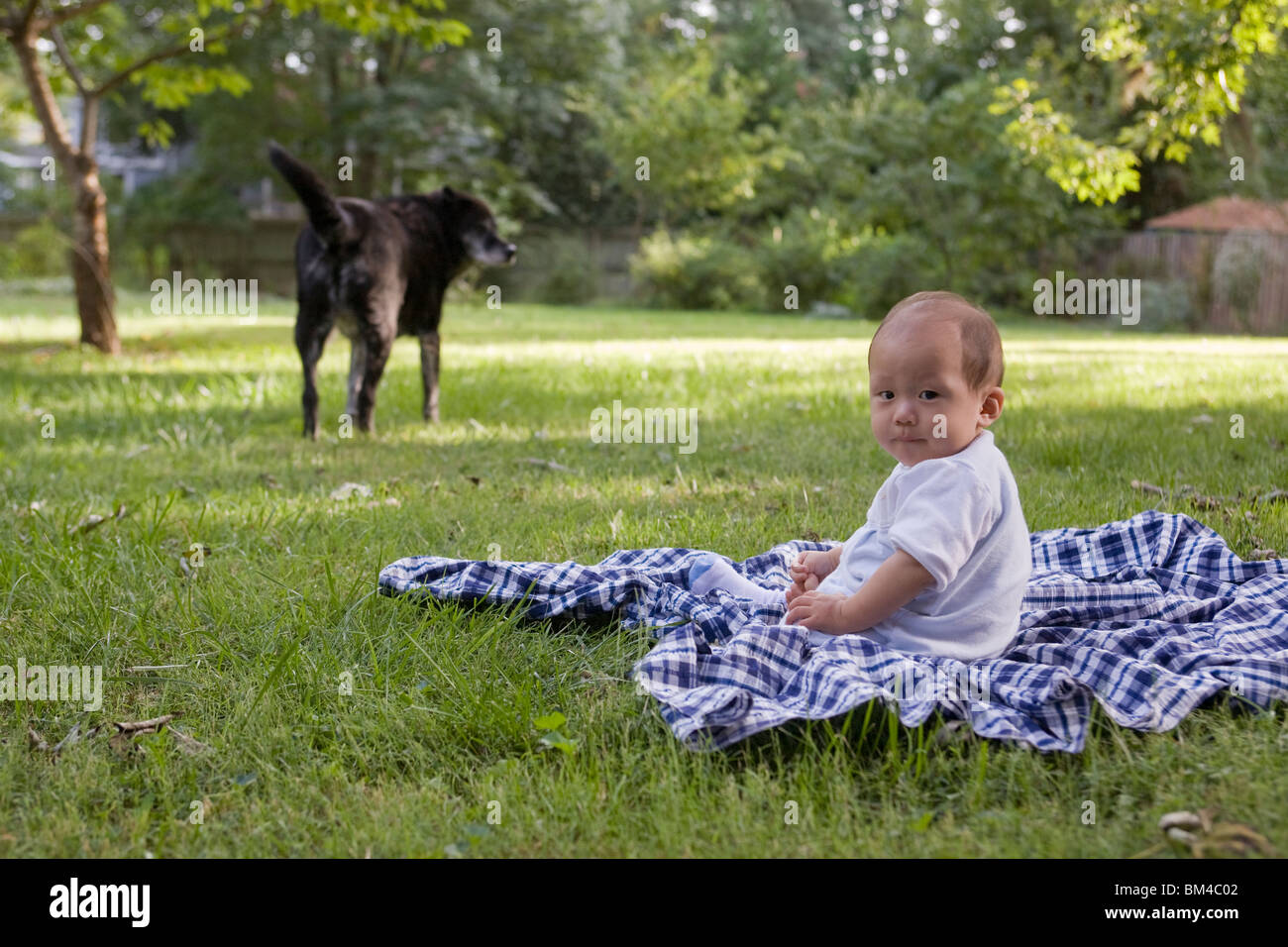 Asian baby boy sitting on lawn with pet dog Banque D'Images