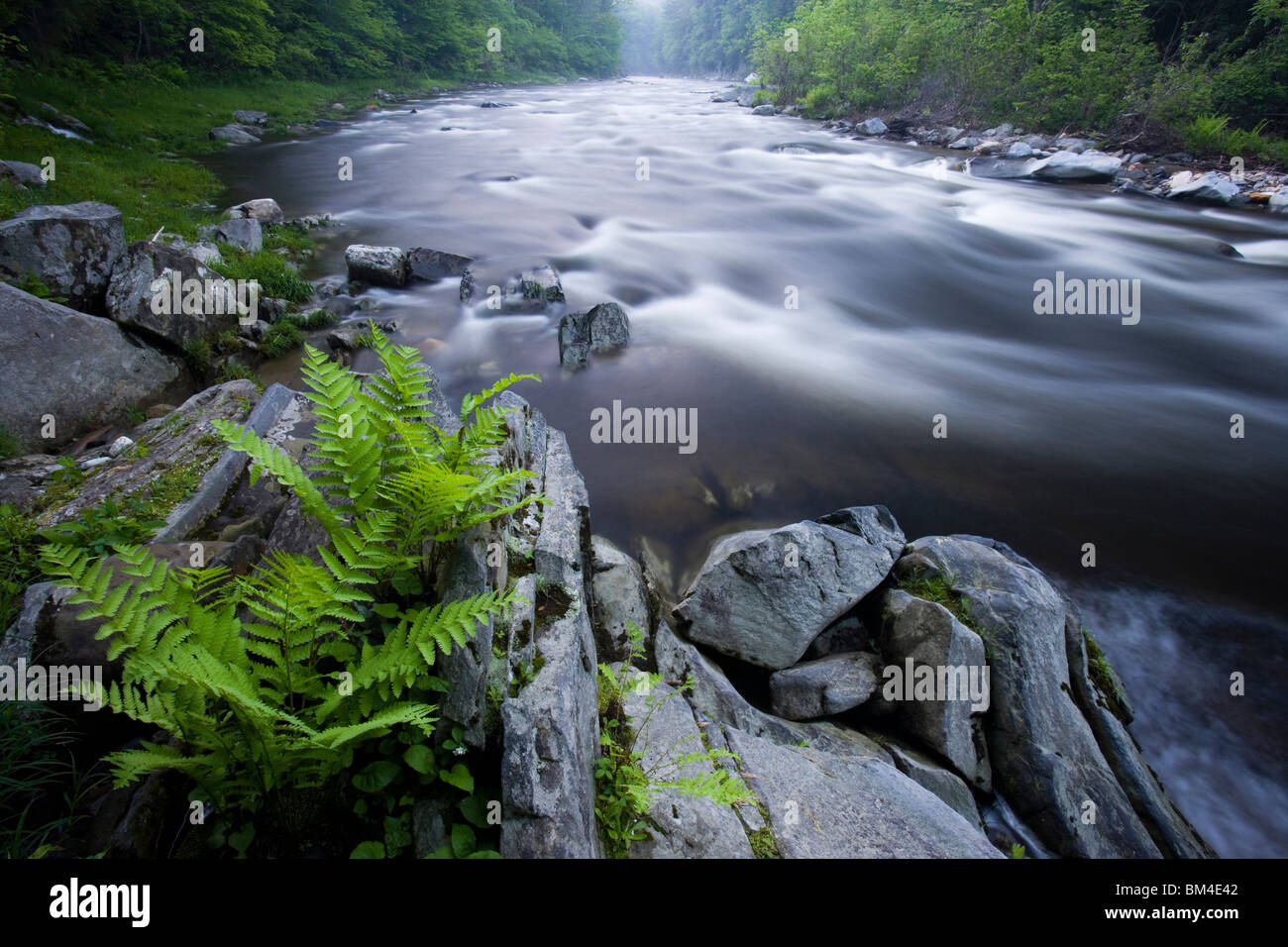 La Direction générale de l'ouest de la rivière Westfield à Chesterfield, Massachusetts. Juste en dessous de la Gorge de Chesterfield. Banque D'Images