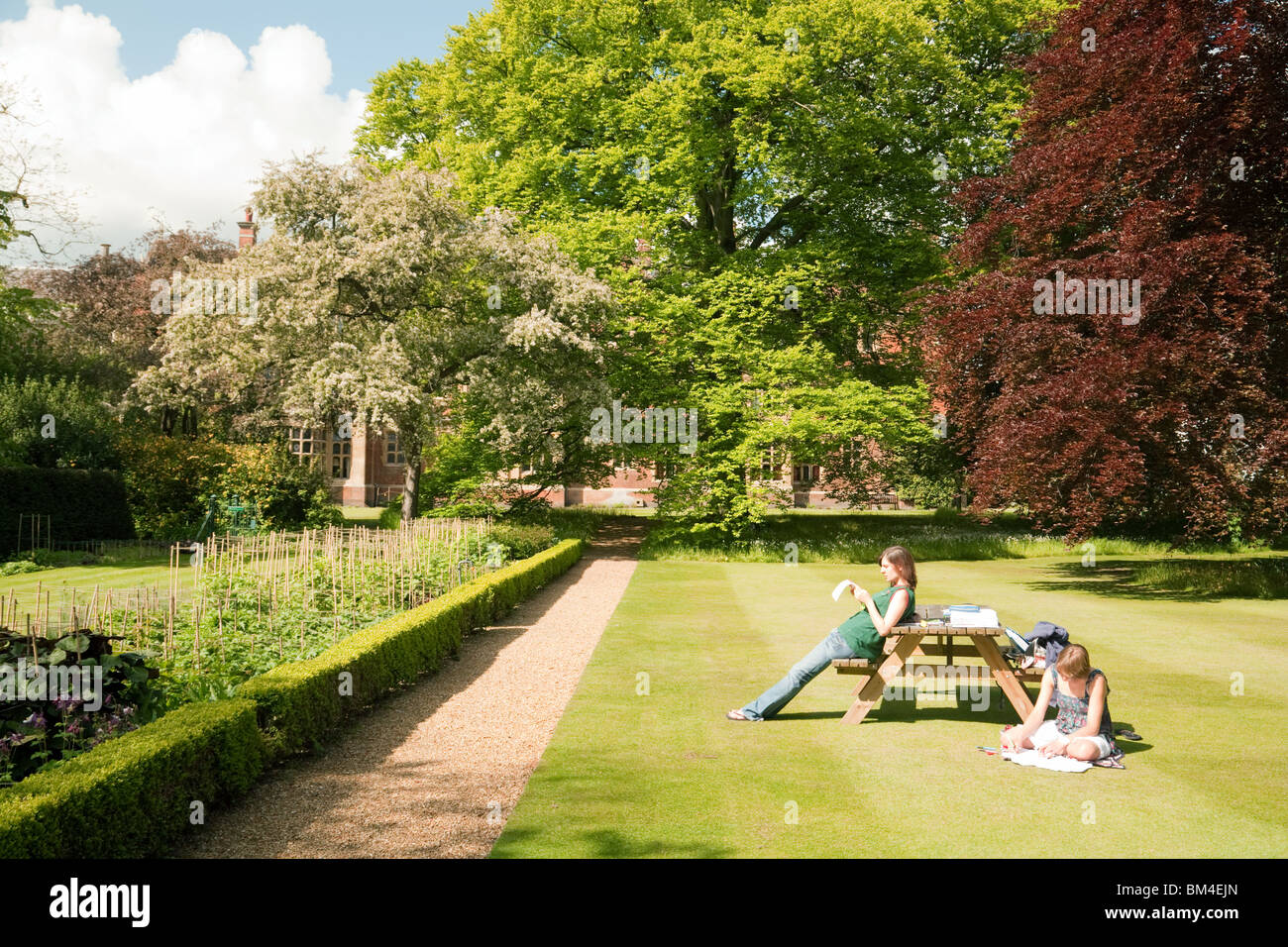 Étudiants lisant dans le jardin Fellows, Sidney Sussex College Cambridge University, Cambridge, Royaume-Uni Banque D'Images
