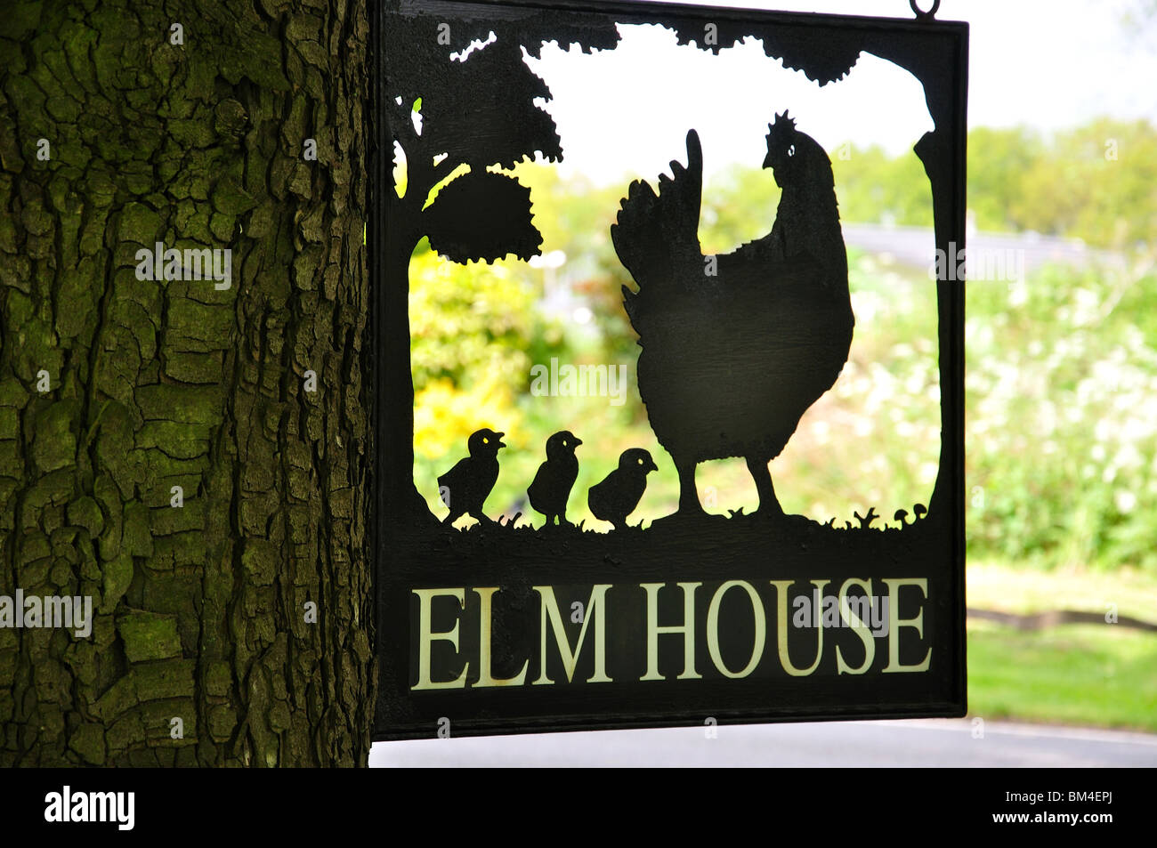 Elm House sign, près de Canterbury, Kent, England, United Kingdom Banque D'Images
