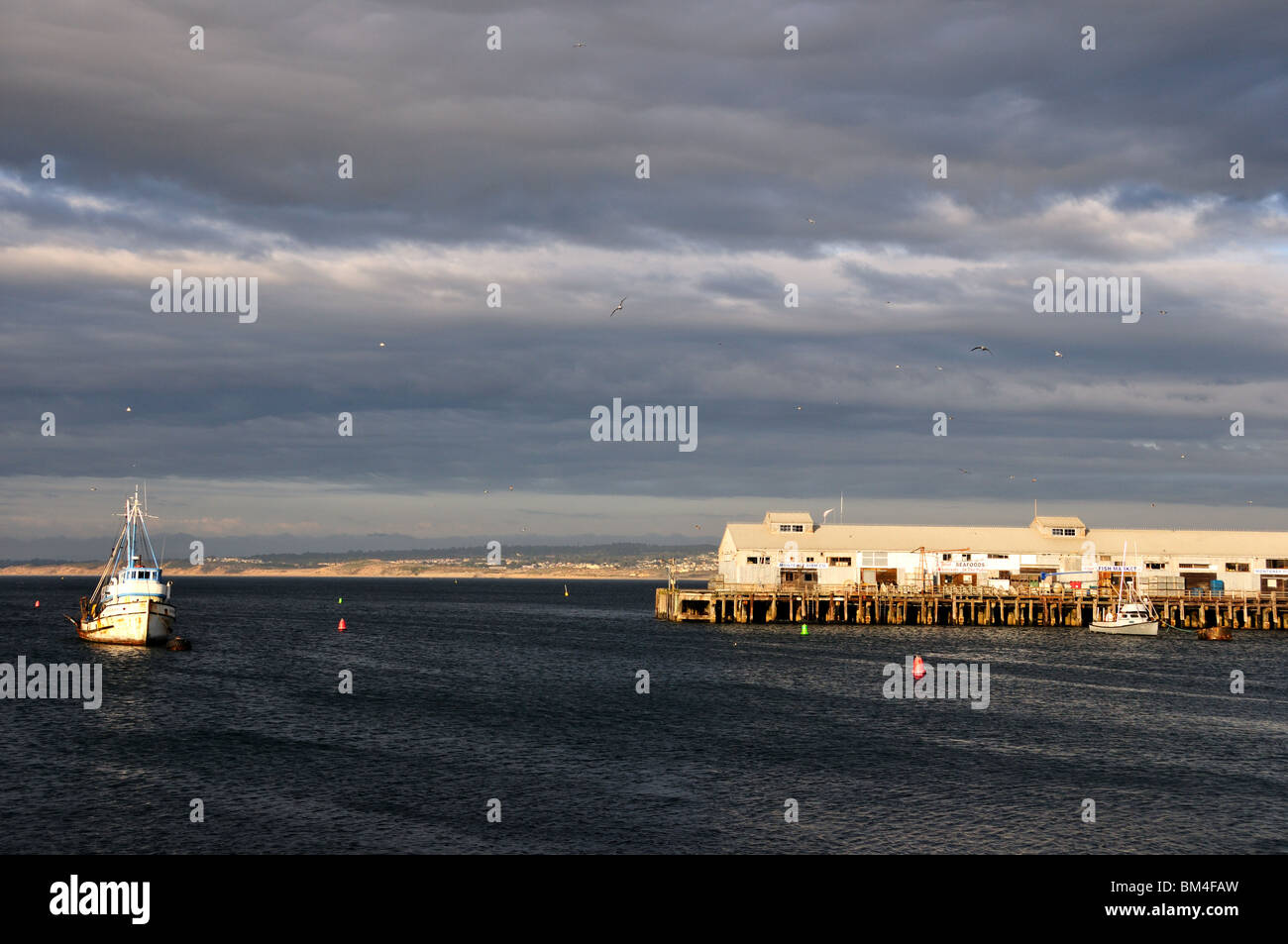 Un bateau blanc dans la mer à Fisherman's Wharf . Monterey, Californie, USA. Banque D'Images