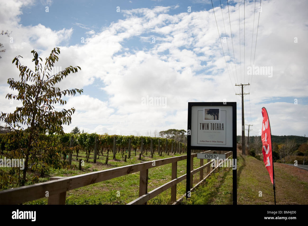 Lits Totara vignoble, Waimauku, dans la région de vin Kumeu, North West Auckland, Nouvelle-Zélande. Banque D'Images