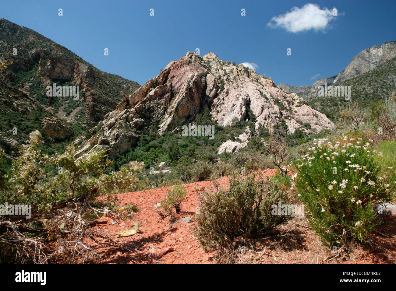 Red Rock Canyon Valley Banque D'Images