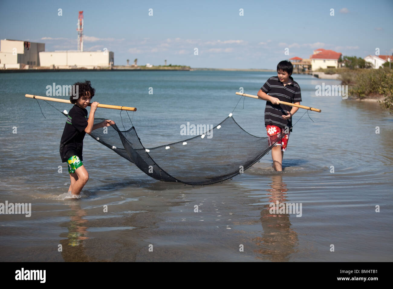 Deux collégiens collectent des plantes et des animaux dans la baie de Corpus Christi lors d'une excursion scolaire sur le terrain en biologie marine le long de la côte du Texas. Banque D'Images