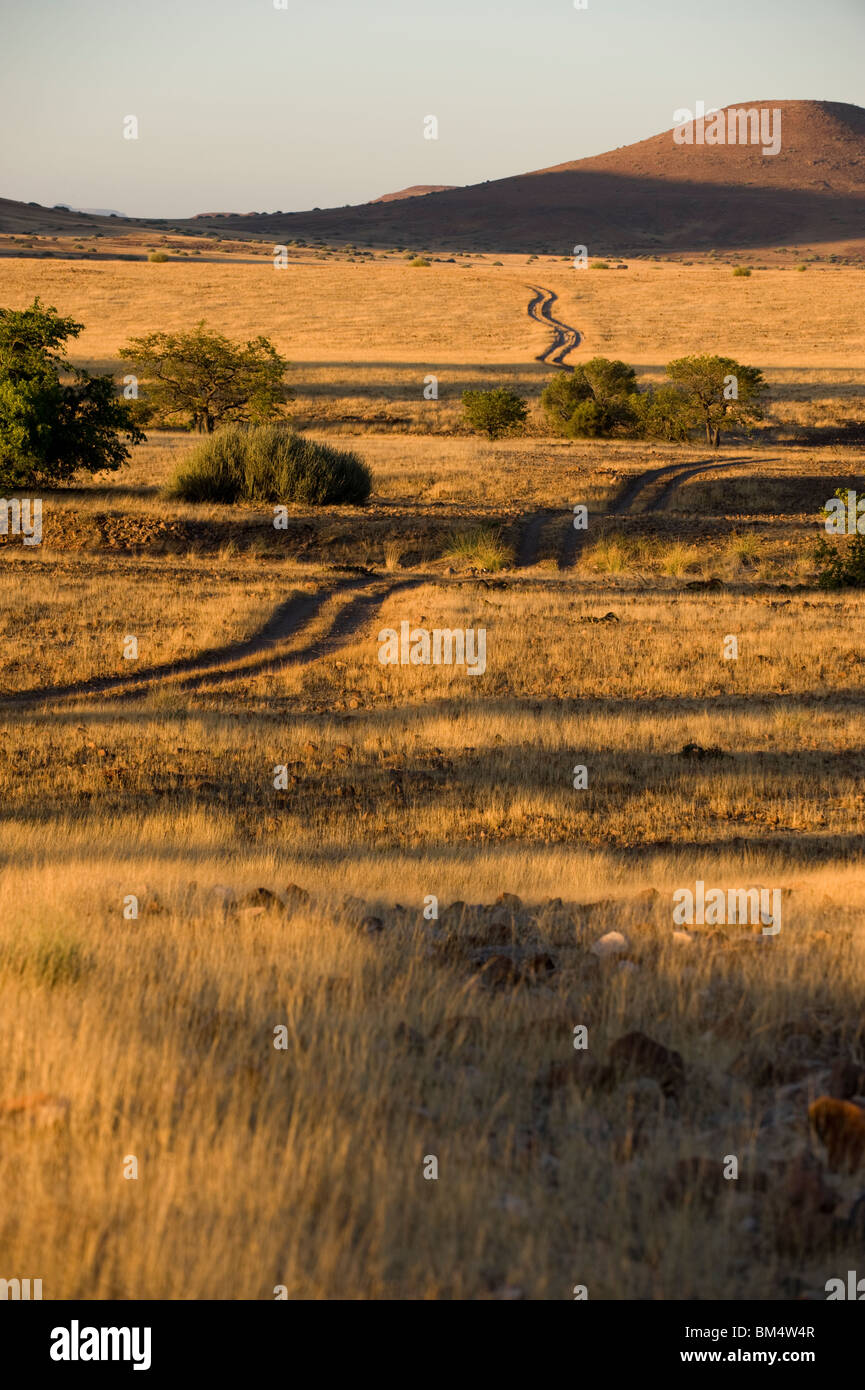 Une vue de la concession de Palmwag, Damaraland, Namibie. Banque D'Images