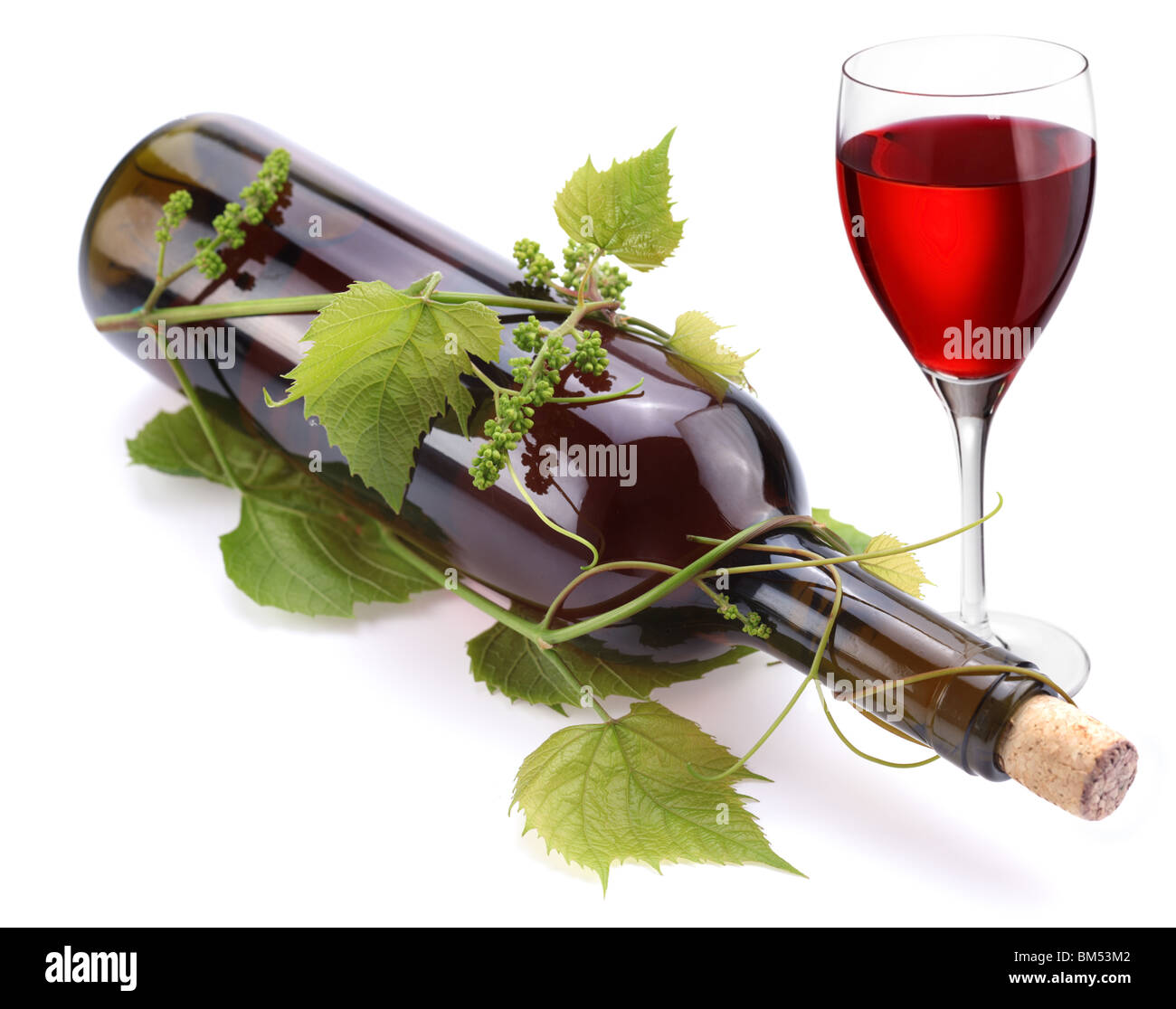 Bouteille de vin dans la vigne sur un fond blanc Banque D'Images