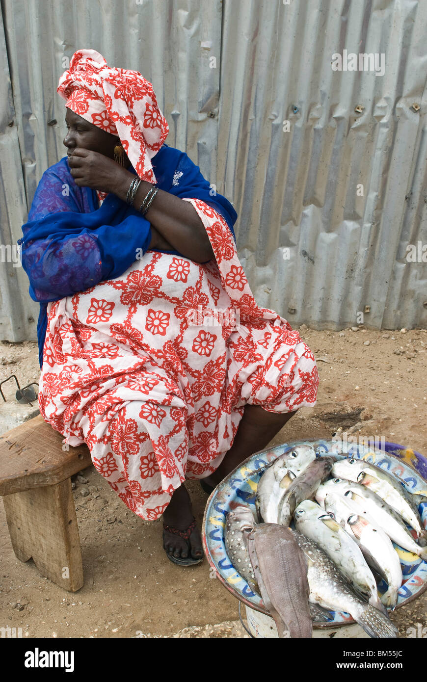 Femme sénégalaise à la vente du poisson dans les rues de Saint Louis. Au Sénégal, l'Afrique. Banque D'Images