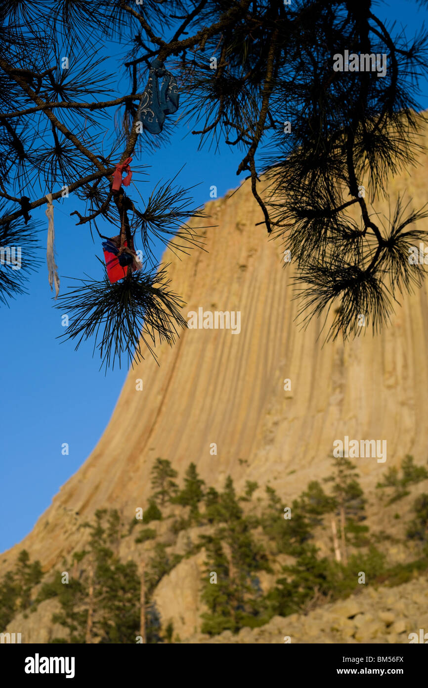 Native American lié la prière et chiffons offres tabac suspendu à un arbre à Devils Tower National Monument, le Wyoming. Banque D'Images