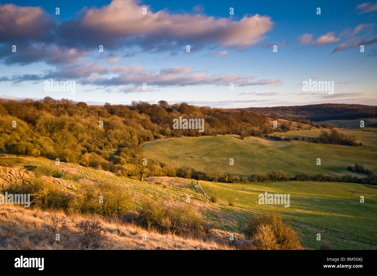 Vue de l'Haresfield Beacon, Cotswold Hills, Gloucestershire, Royaume-Uni Banque D'Images