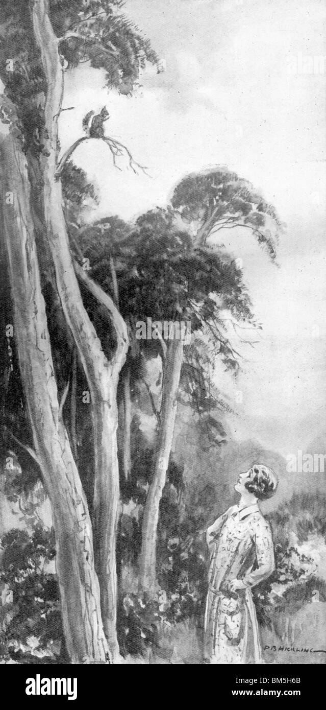 Femme regardant un écureuil dans l'arbre Banque D'Images