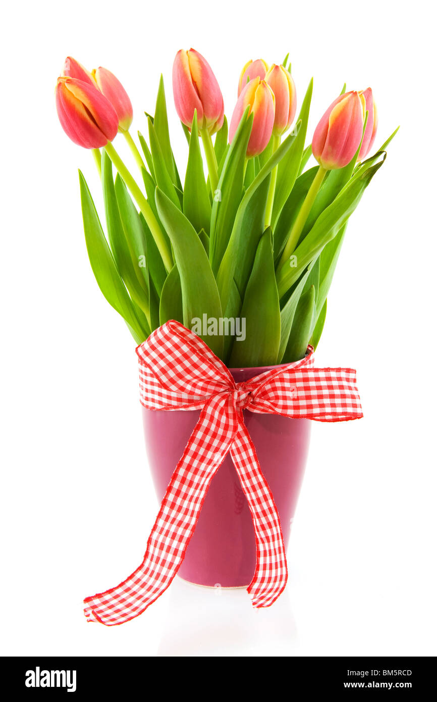 Vase gaies avec arc et vérifié les tulipes Banque D'Images