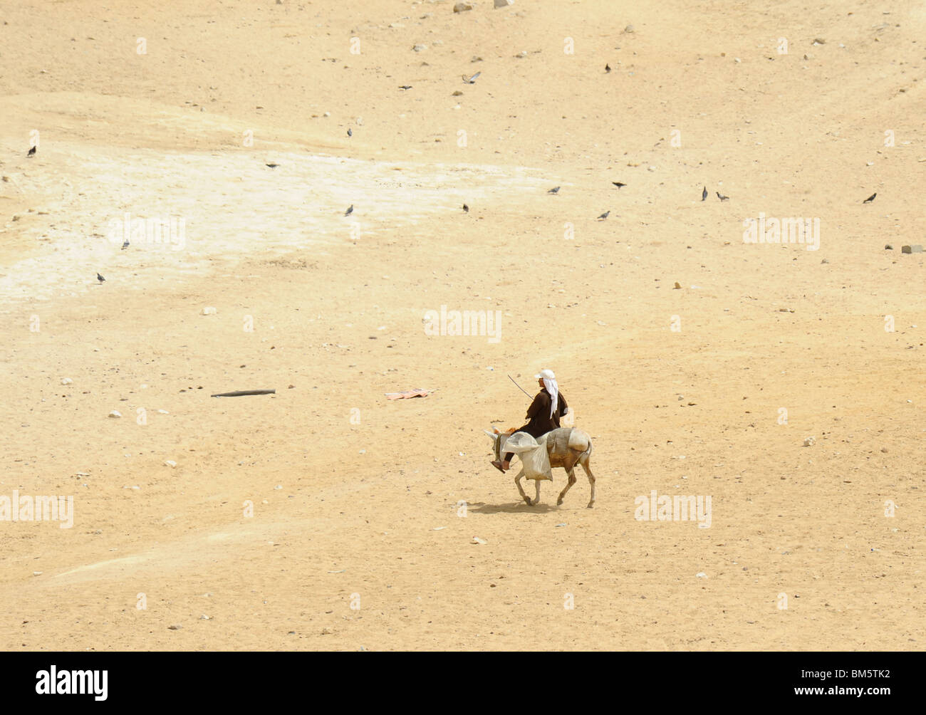 Égyptien ancien sur son âne, le recyclage des bouteilles en plastique , pyramides de Gizeh, Nécropole de Gizeh bordant ce qui est aujourd'hui El Giza , egyp Banque D'Images