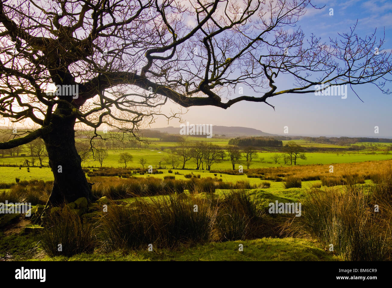 Vue sur Bleasdale dans la forêt de Bowland Lancashire England vers Beacon est tombé Banque D'Images