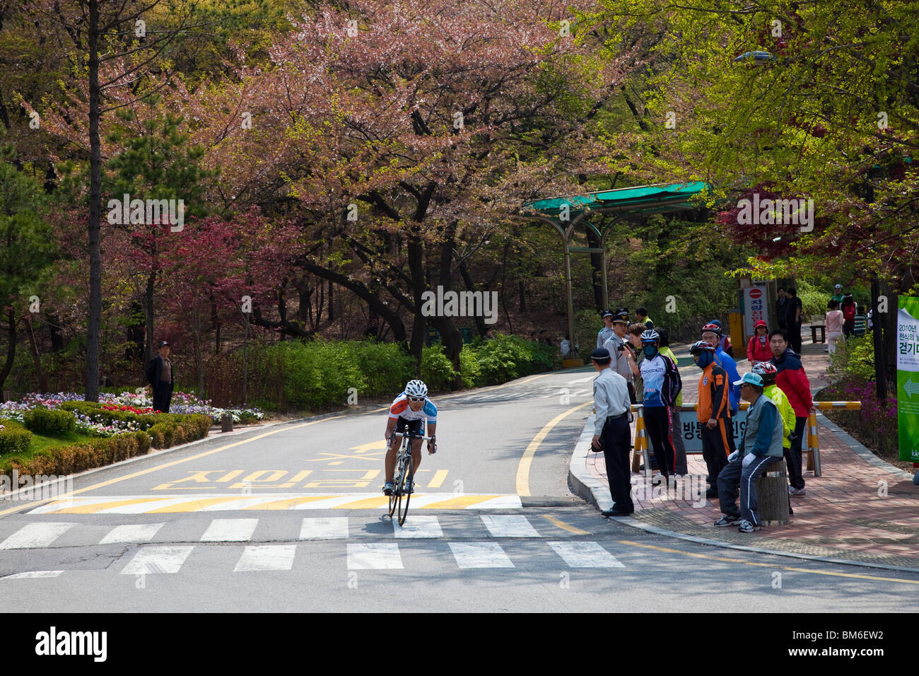 Course cycliste dans le parc Namsan à Séoul en Corée du Sud Banque D'Images