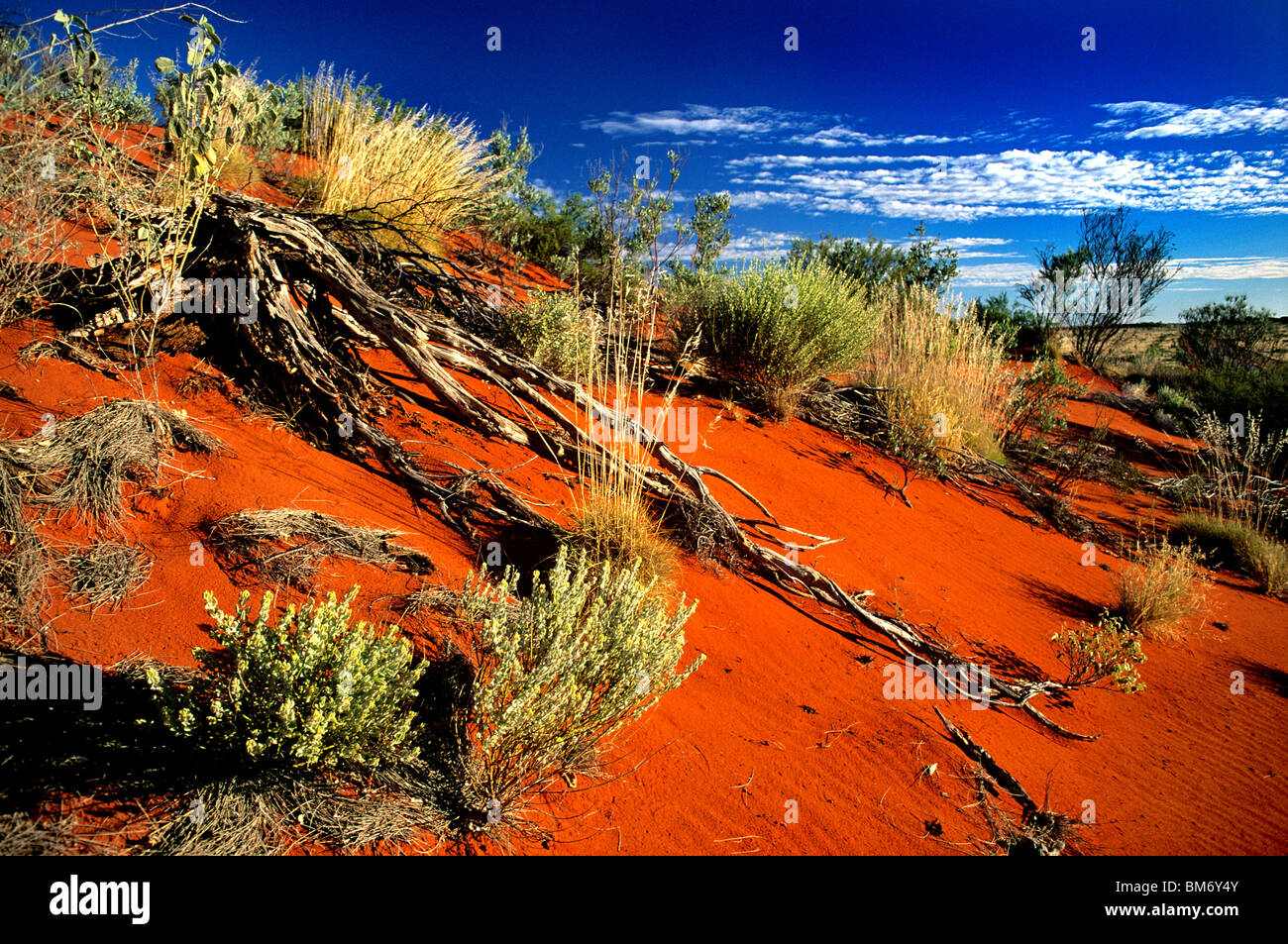 Une dune de sable aux couleurs vives dans la région du Pilbara et du paysage de l'Australie occidentale, près de la ville de Tom Price Banque D'Images