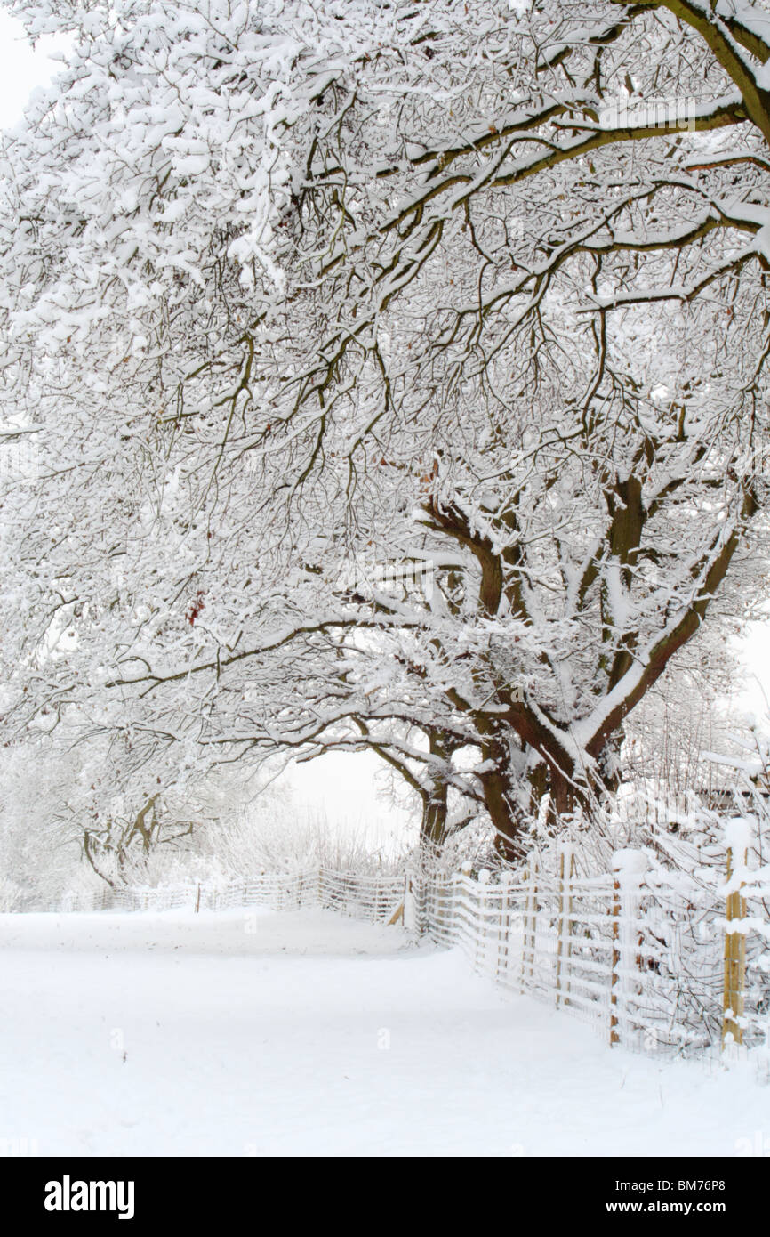La neige a couvert les champs après une forte chute de neige dans la région de Downley, High Wycombe, Buckinghamshire, Royaume-Uni Banque D'Images