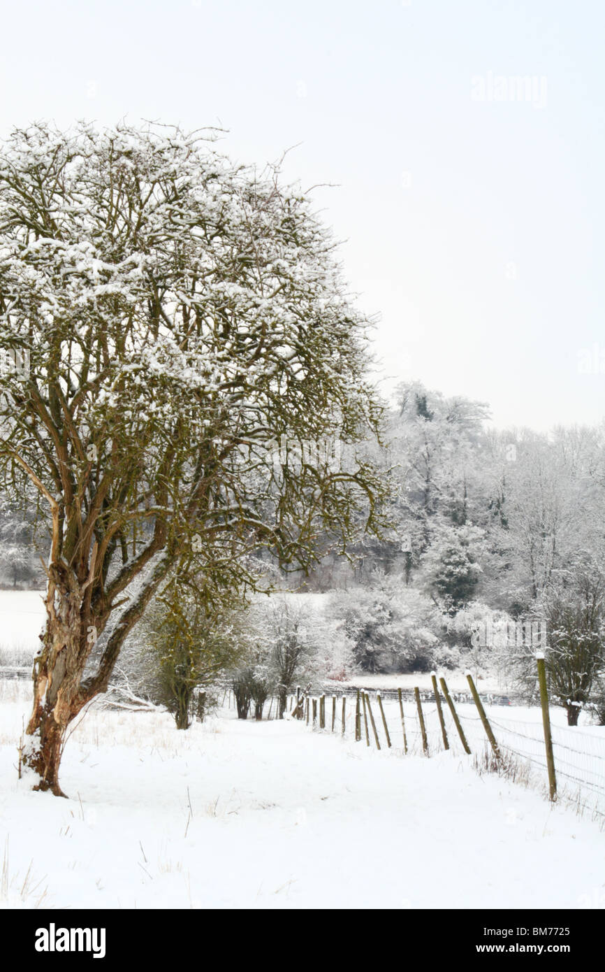 Champs couverts de neige après une lourde dans sonwfall Downley, High Wycombe, Buckinghamshire, Royaume-Uni Banque D'Images