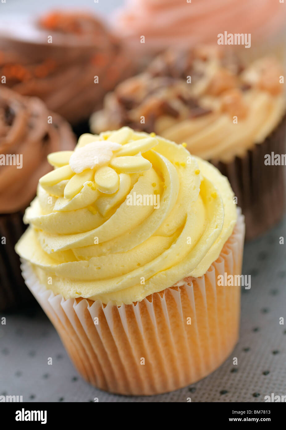 Cupcakes avec un cupcake au citron à l'avant, l'accent peu profondes, l'accent sur le buttercream de citron. Banque D'Images
