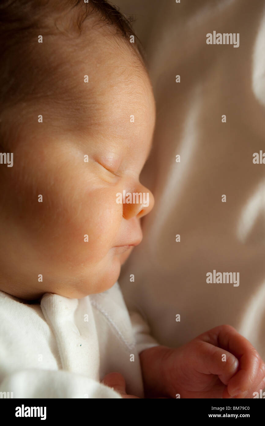 Portrait De Bebe Nouveau Ne 6 Semaines Fille Prematuree Pesant 5 Livres Photo Stock Alamy