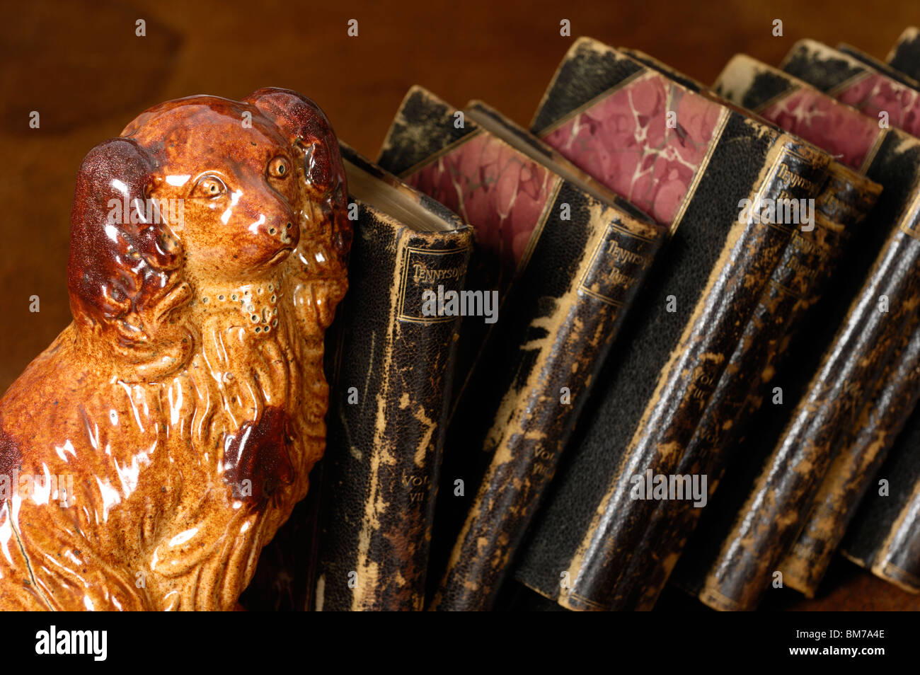 Un sel anglais émaillés grès poterie ornement chien appuie un certain nombre de petits vieux livres de poésie la poésie anglaise par Tennyson Banque D'Images