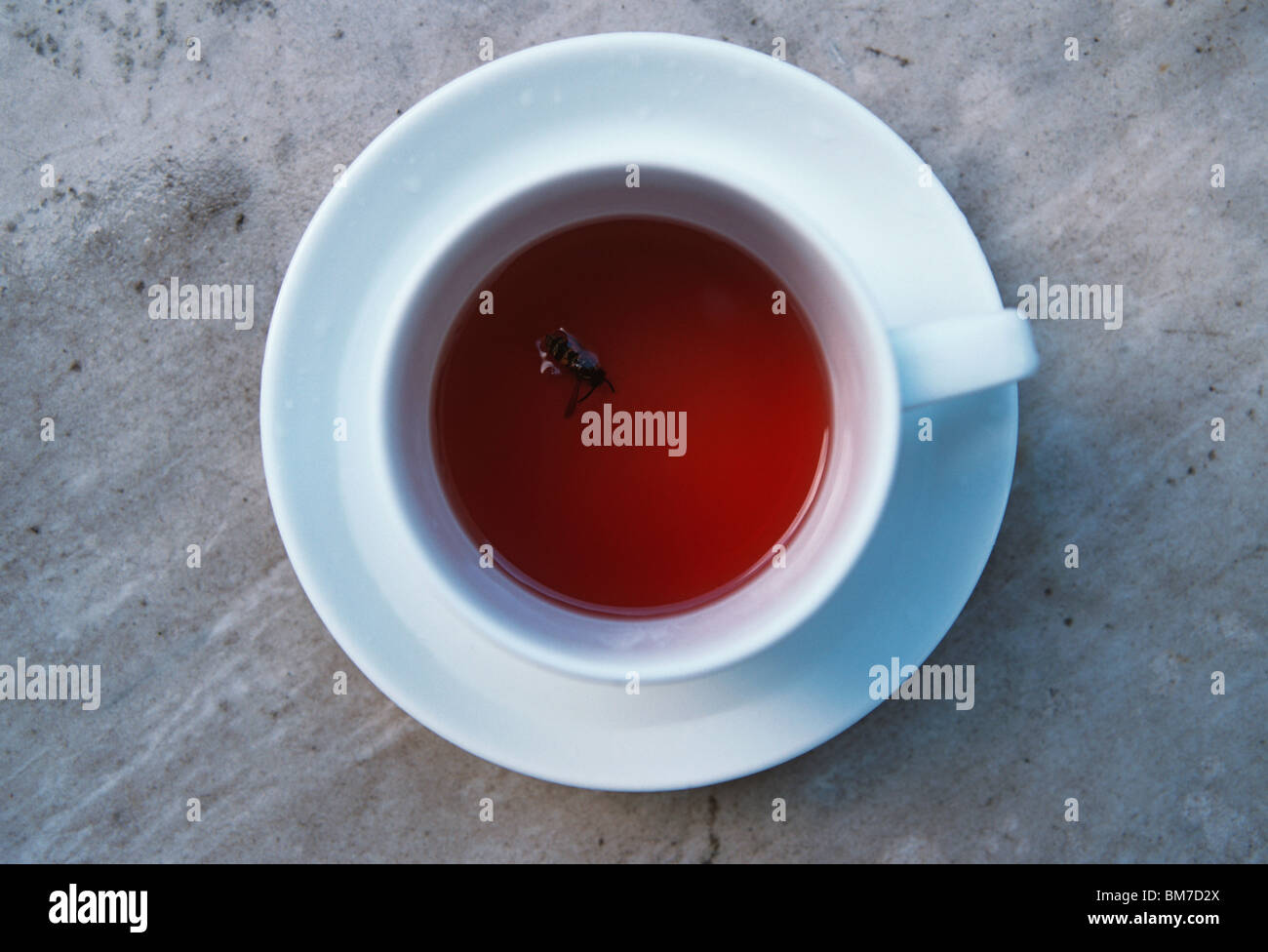 Une guêpe flottant dans une tasse de thé Banque D'Images